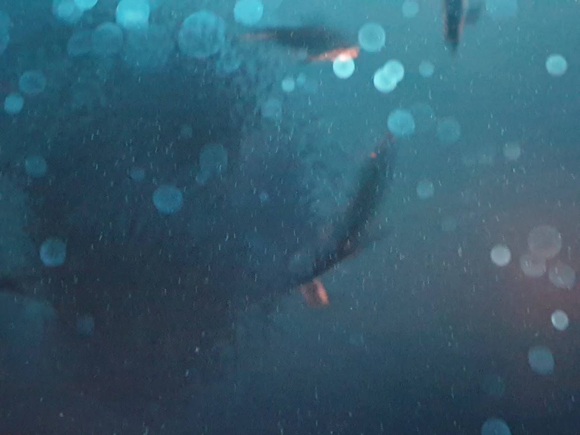 Un gocciolio sintattico